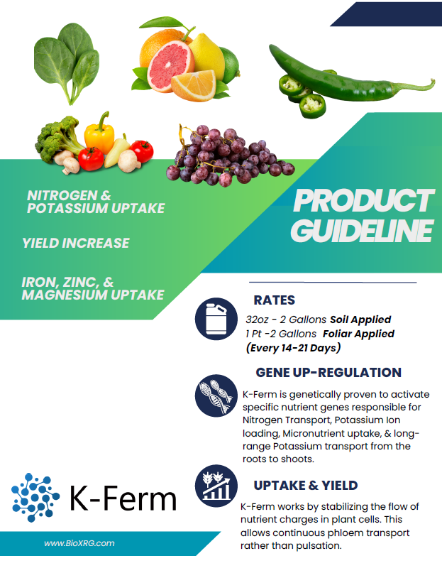 K-Ferm 0-0-12 Organic Certified Potassium Acetate & Biostimulant-BioXRG
